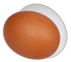 some eggs for dropping