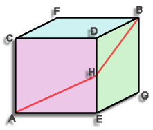diagram of a bug in a cubic room